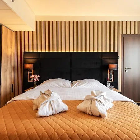 Park Diament Hotel Katowice